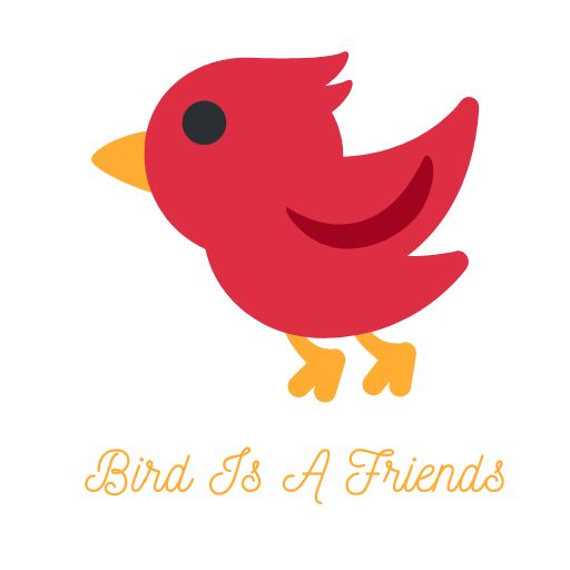 bird is a friend logo