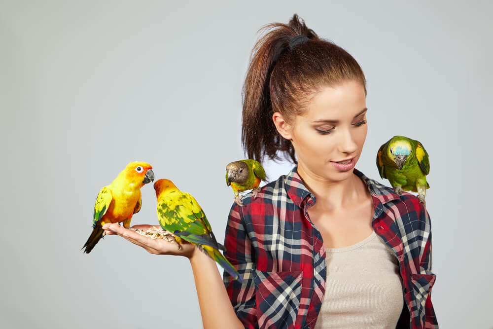 Woman feeding parrots